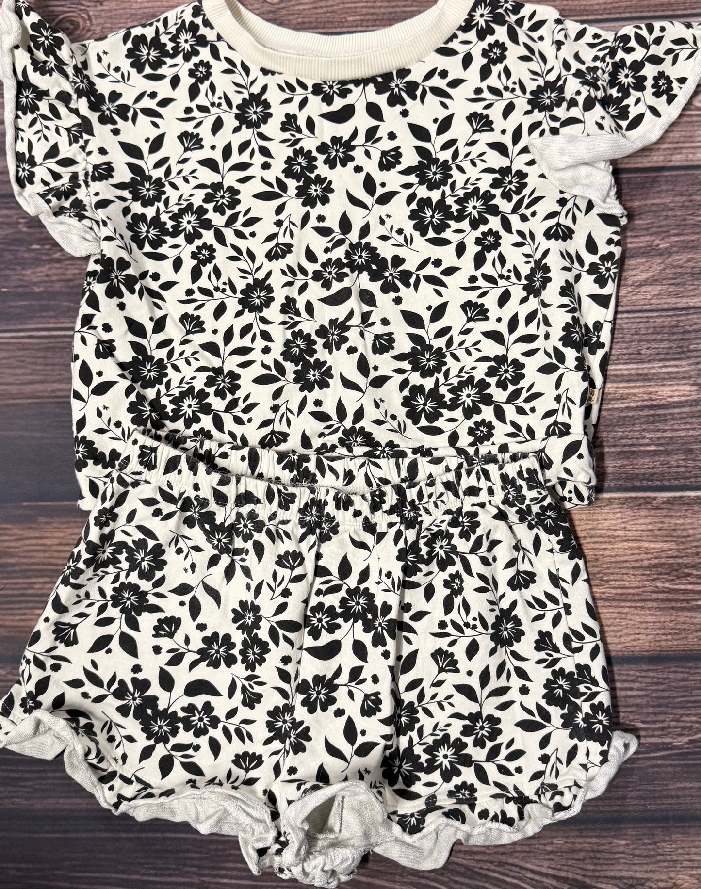 Bearpaw 10/12