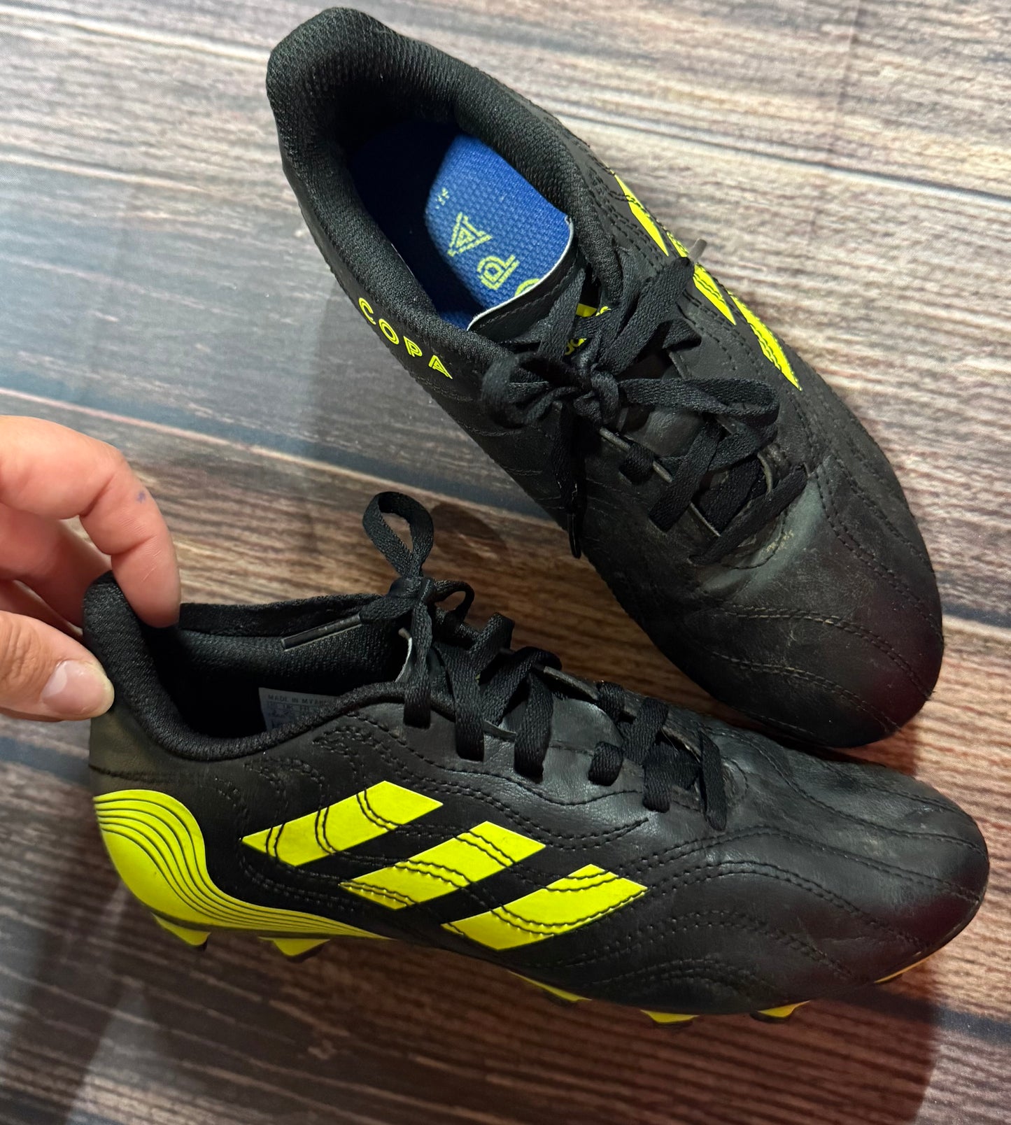 Copa 3
