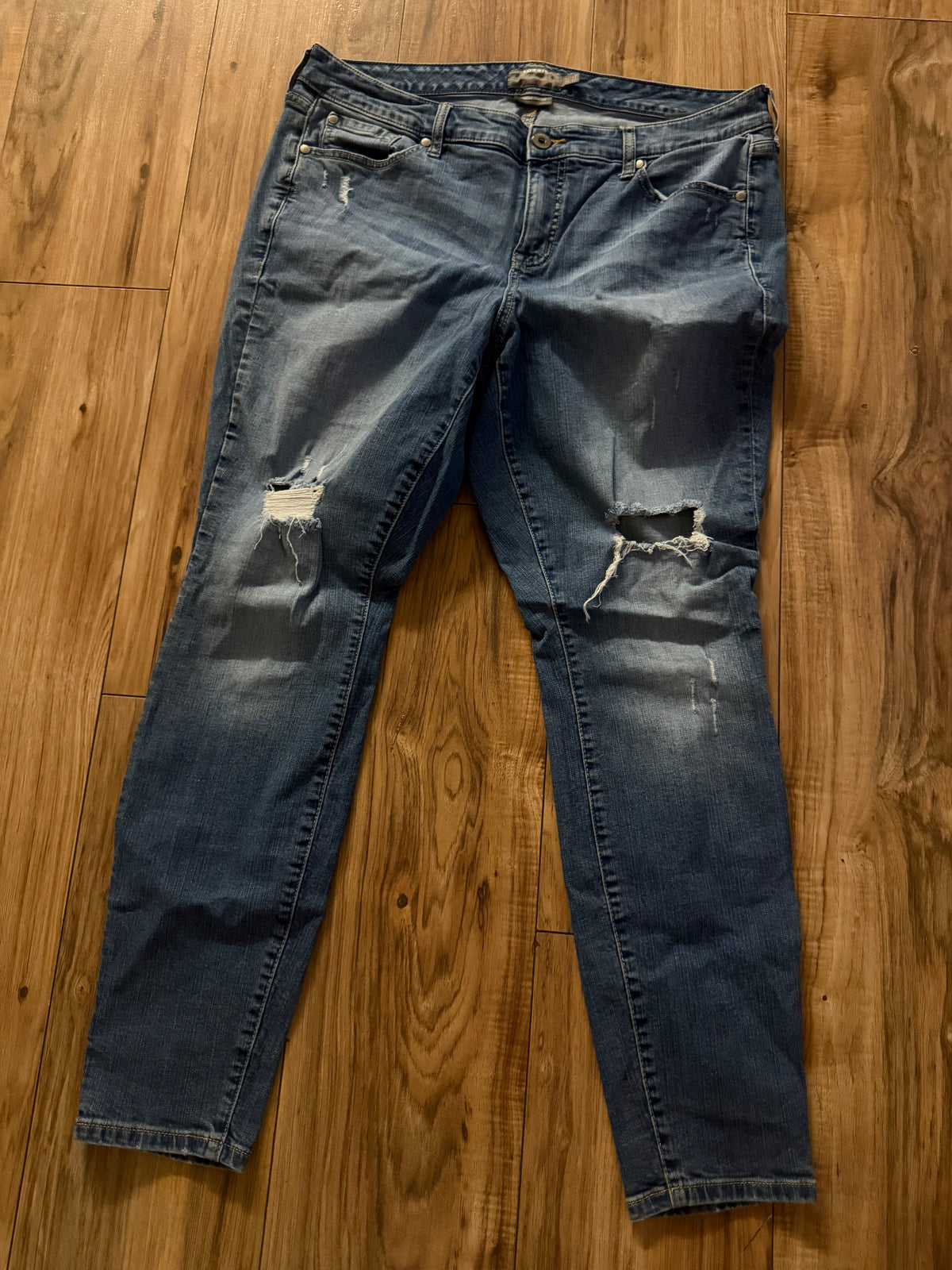 Torrid 16T