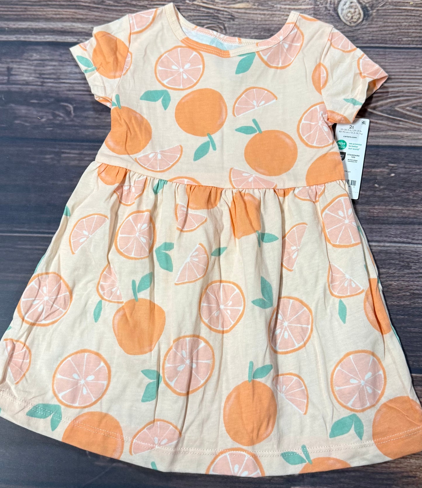 NWT Carter’s 2T