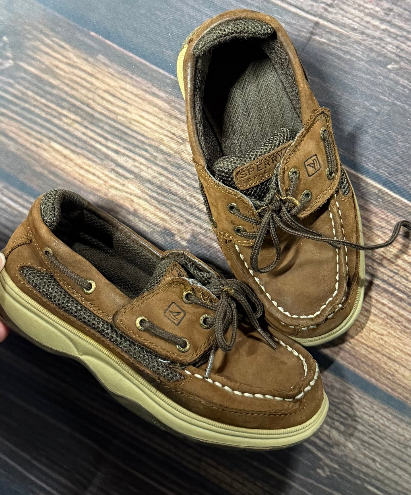 Sperry 12