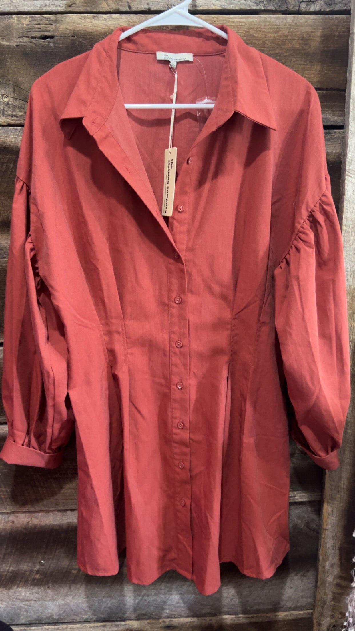 NWT The clothing company size large dress