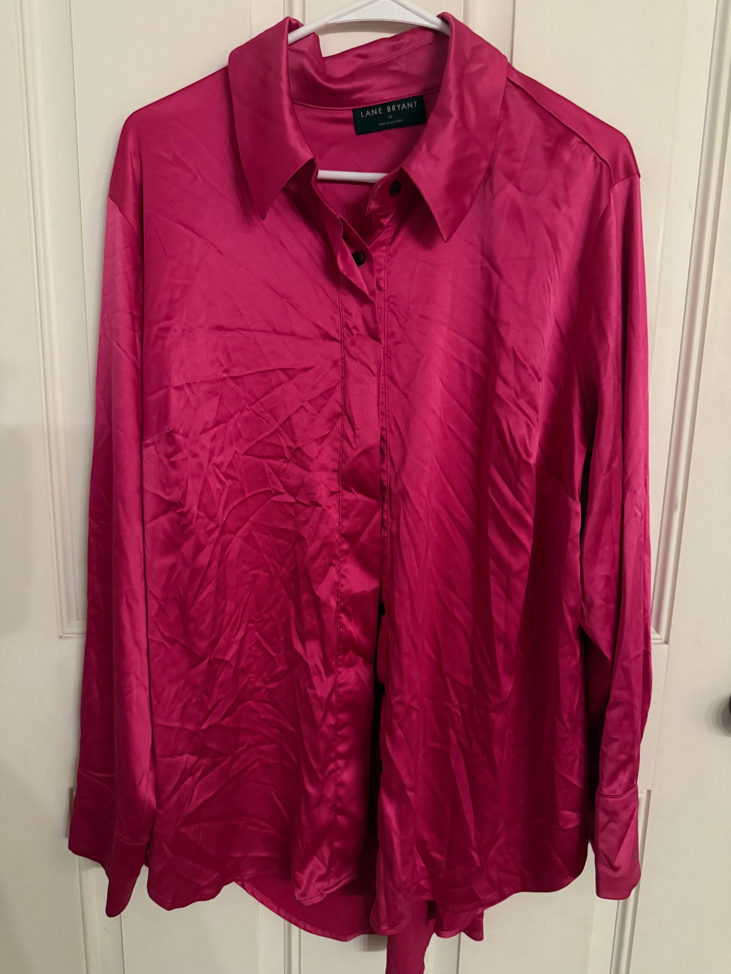 Lane Bryant 22