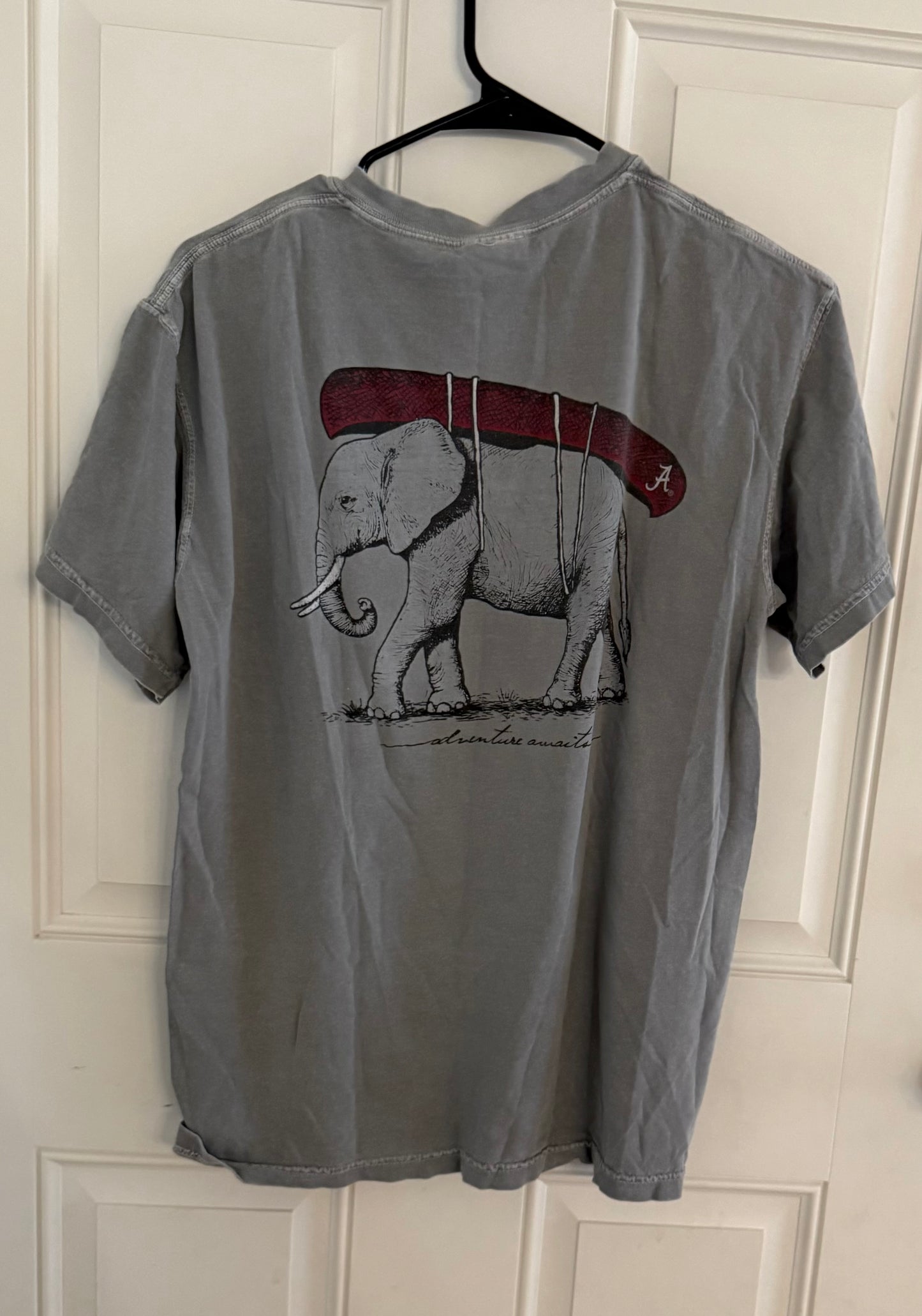 Comfort Colors medium..back in second pic