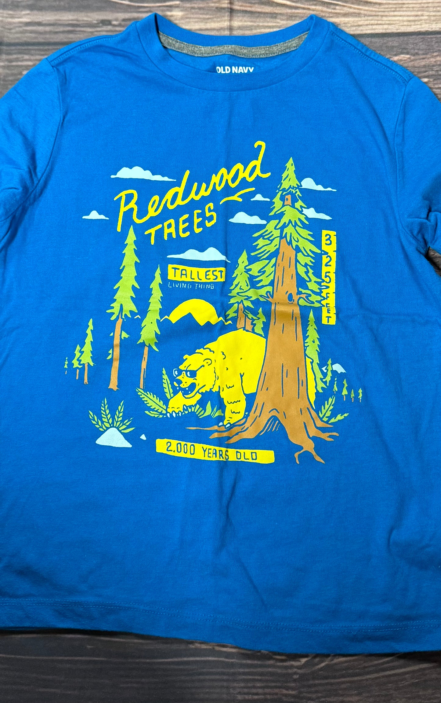 Old Navy 8