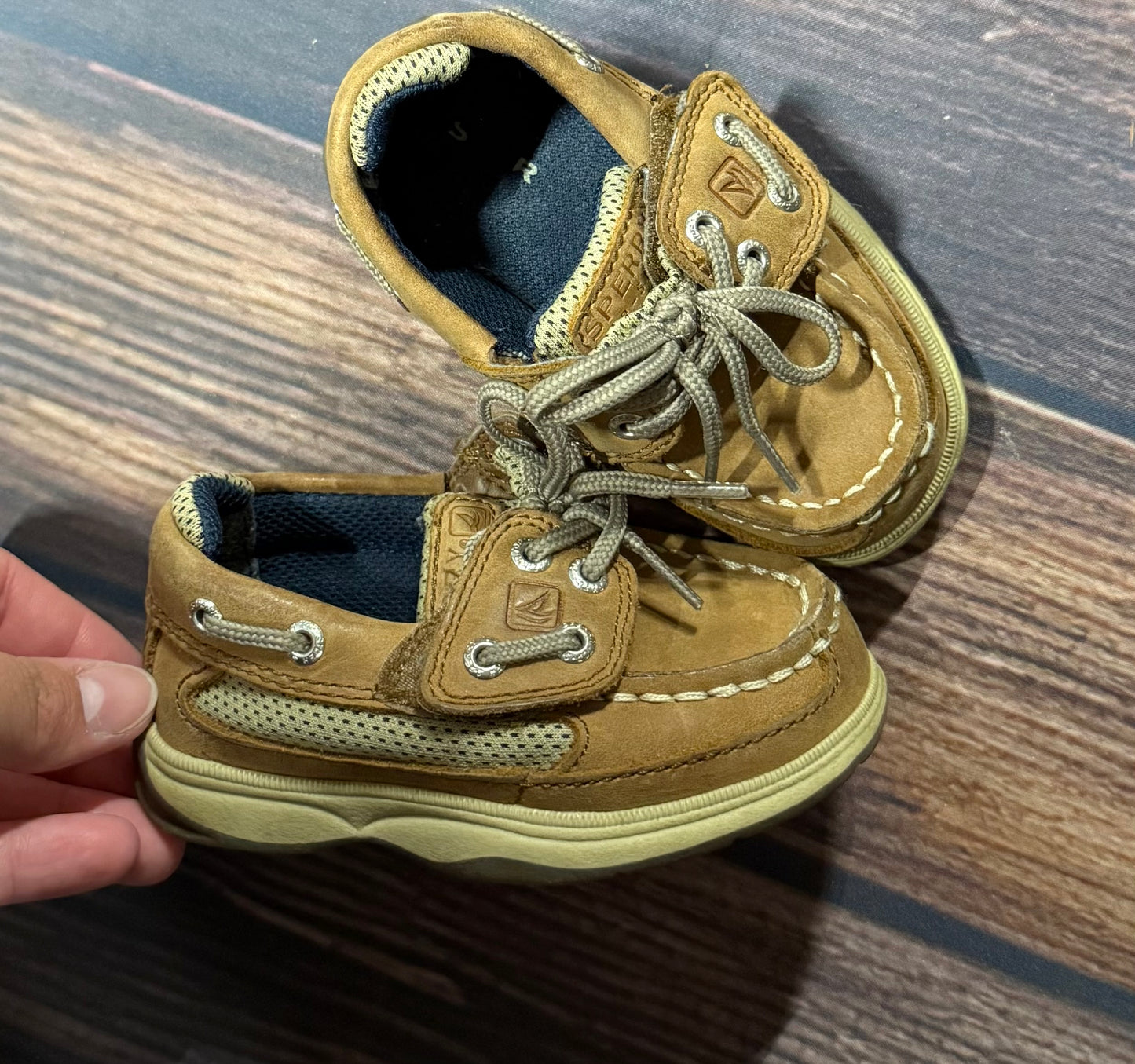 Sperry 5.5