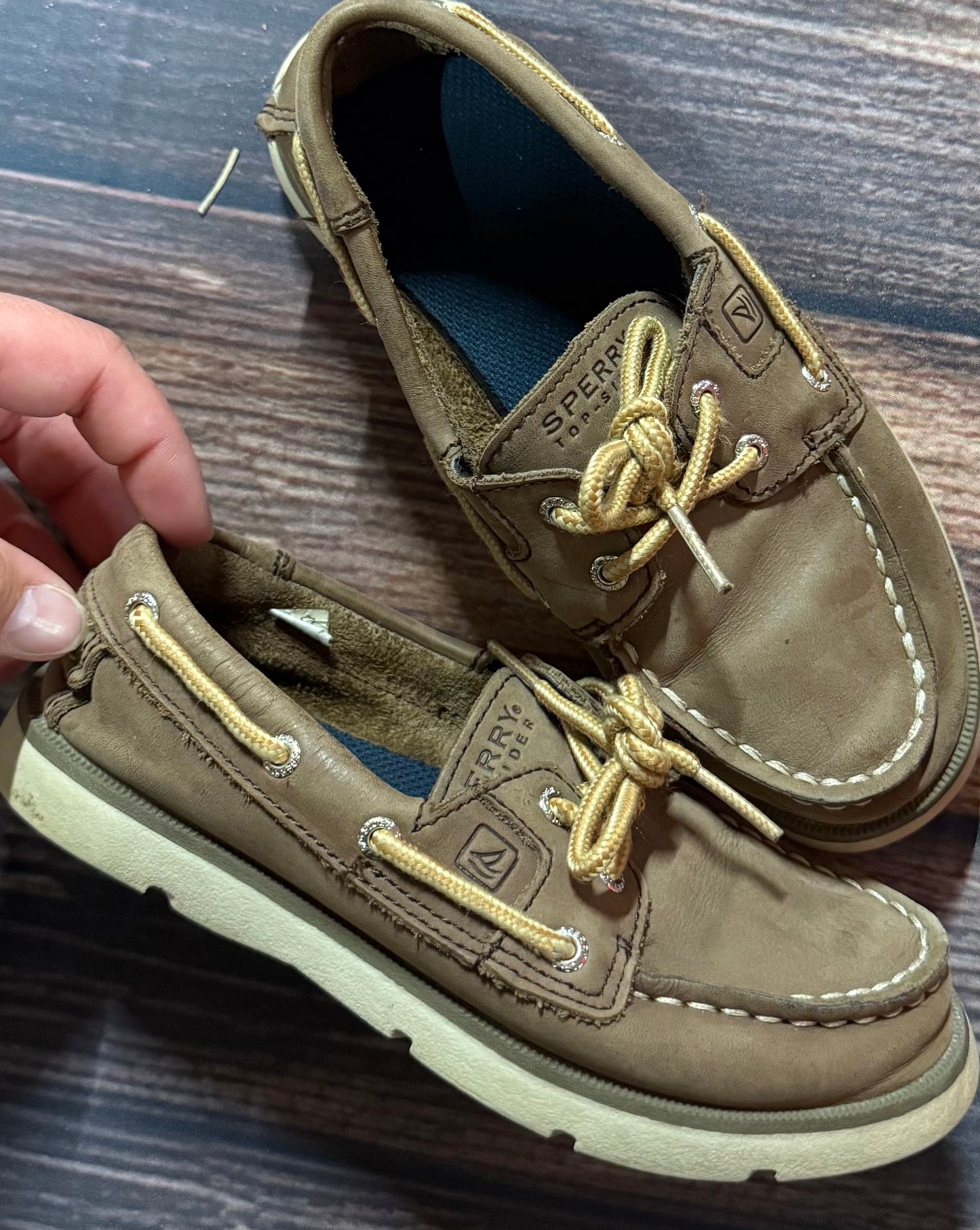 Sperry 13.5