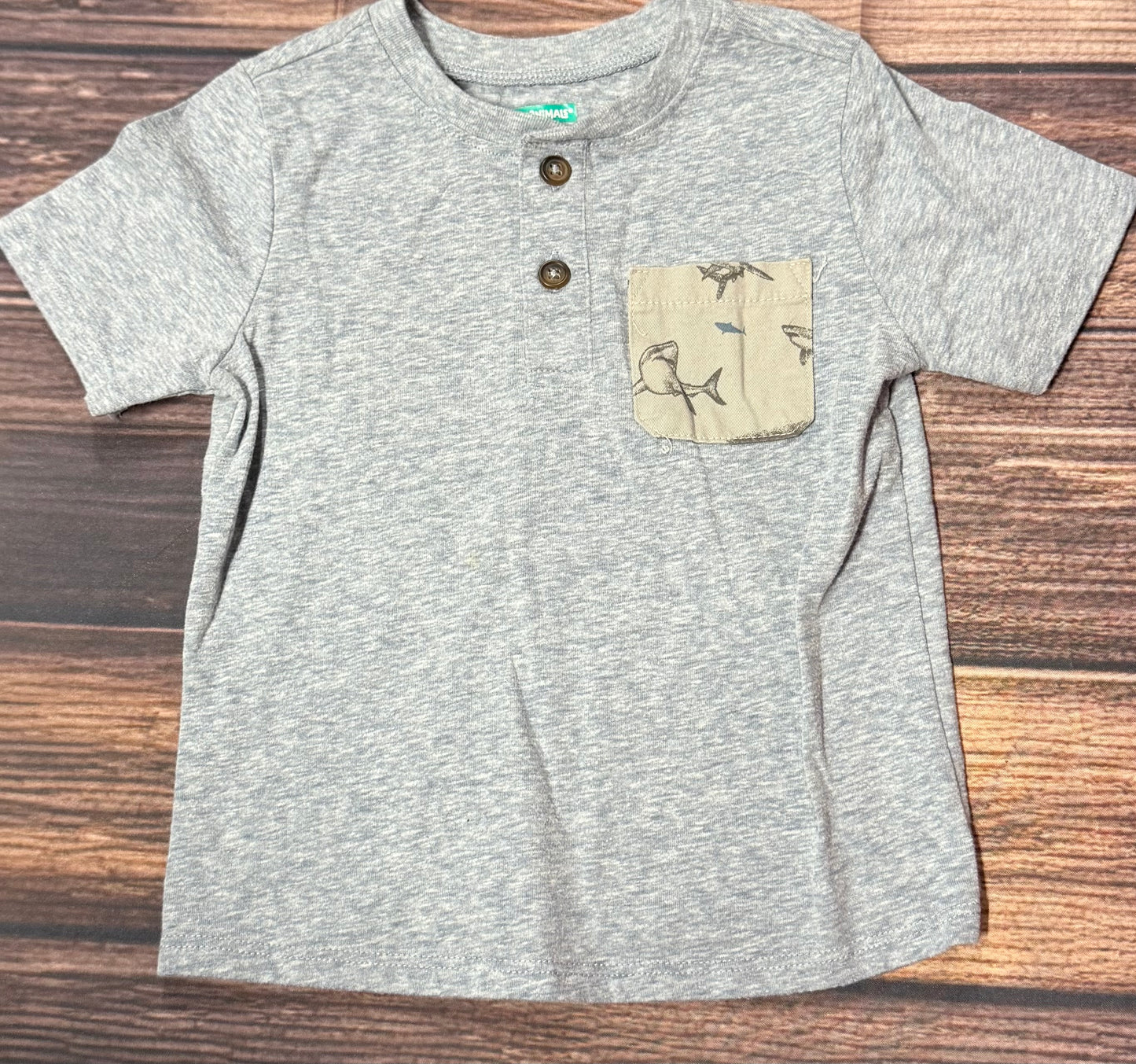 2T