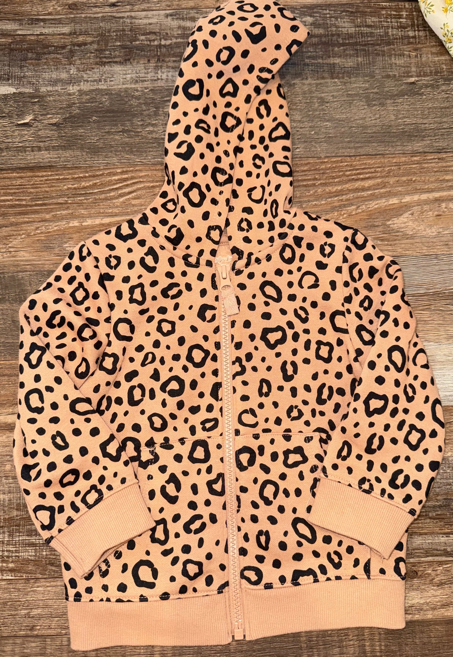 cat & jack 18m