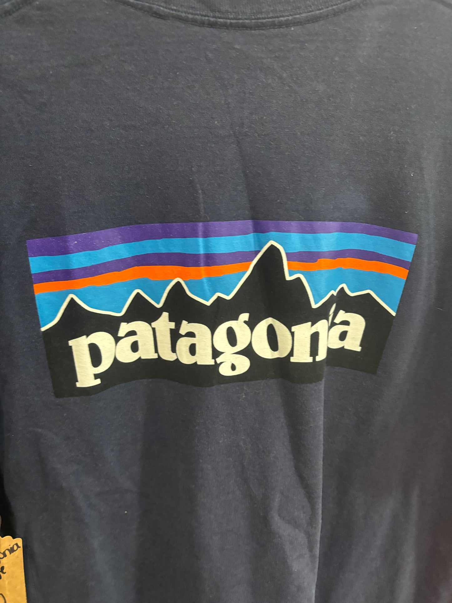 Patagonia large