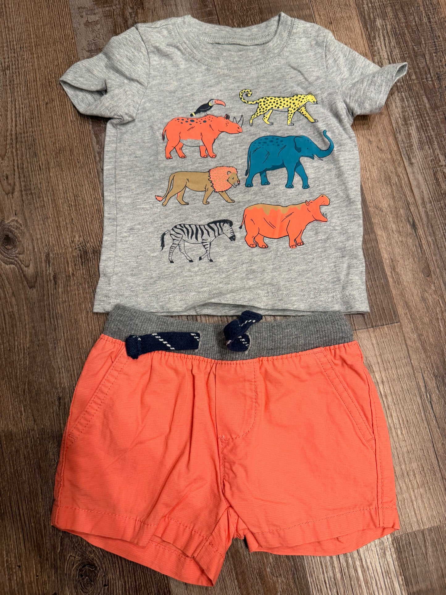 carters 3m