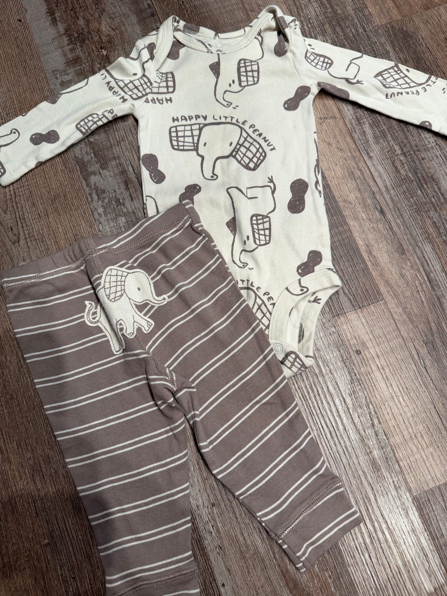 carters 6m