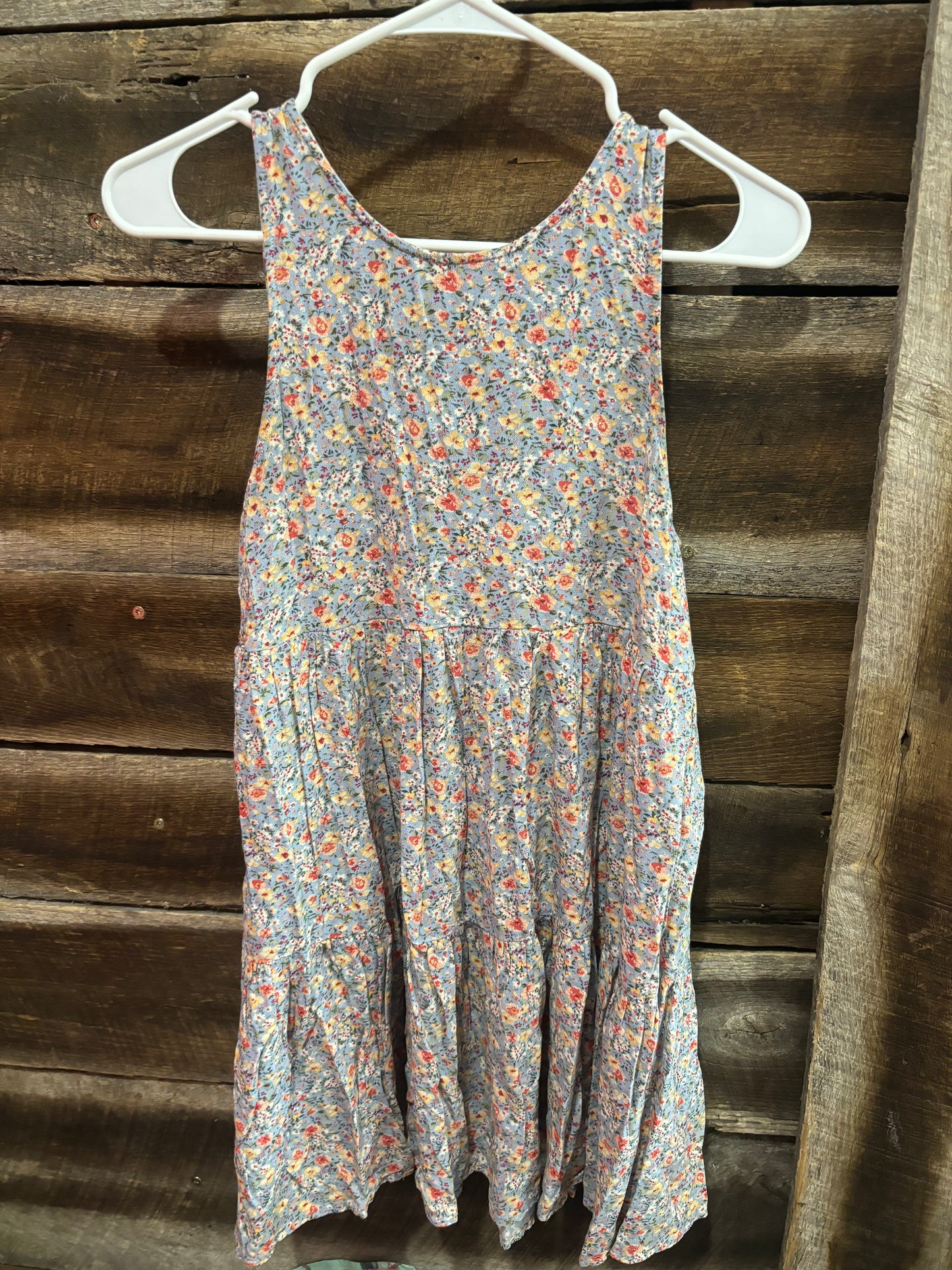 american eagle xs