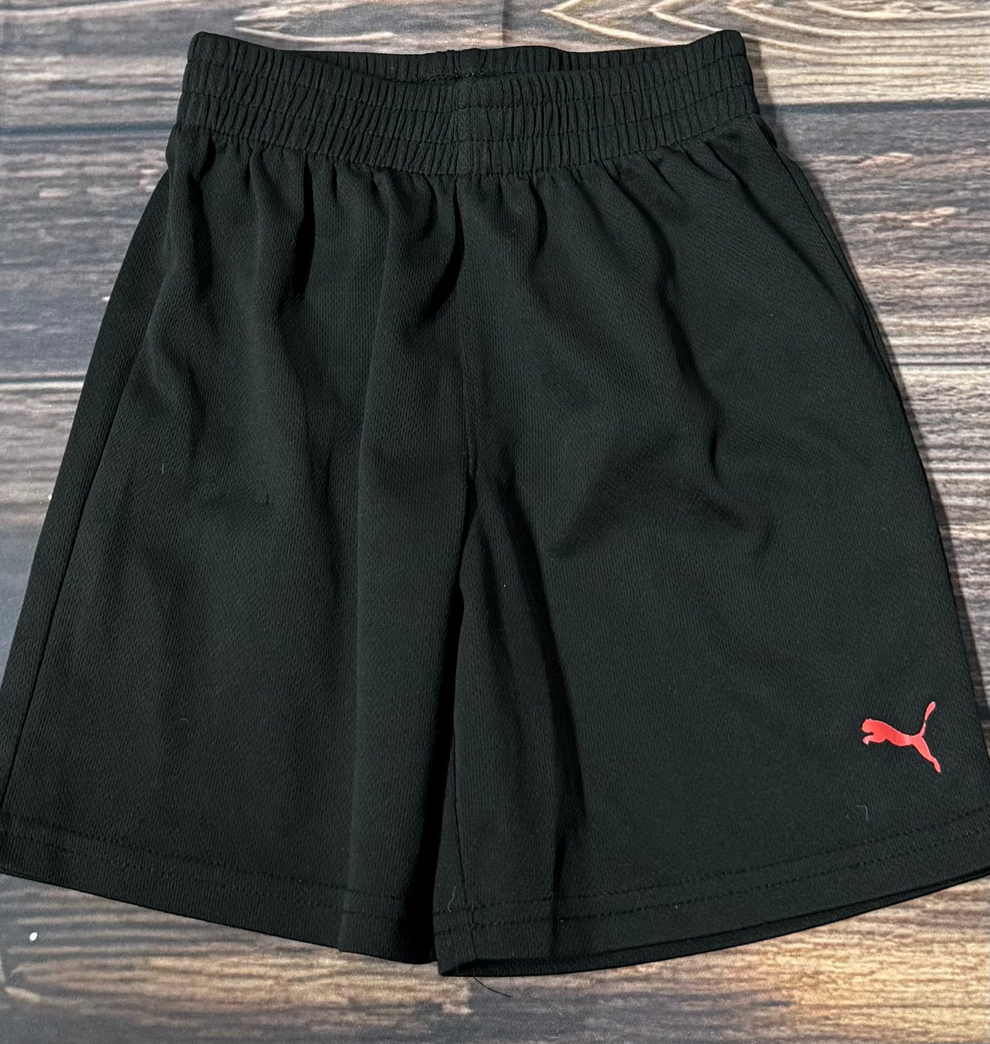 Puma 4