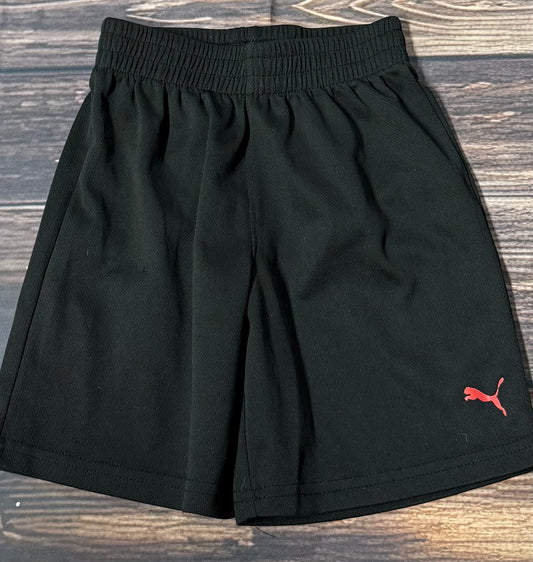Puma 4