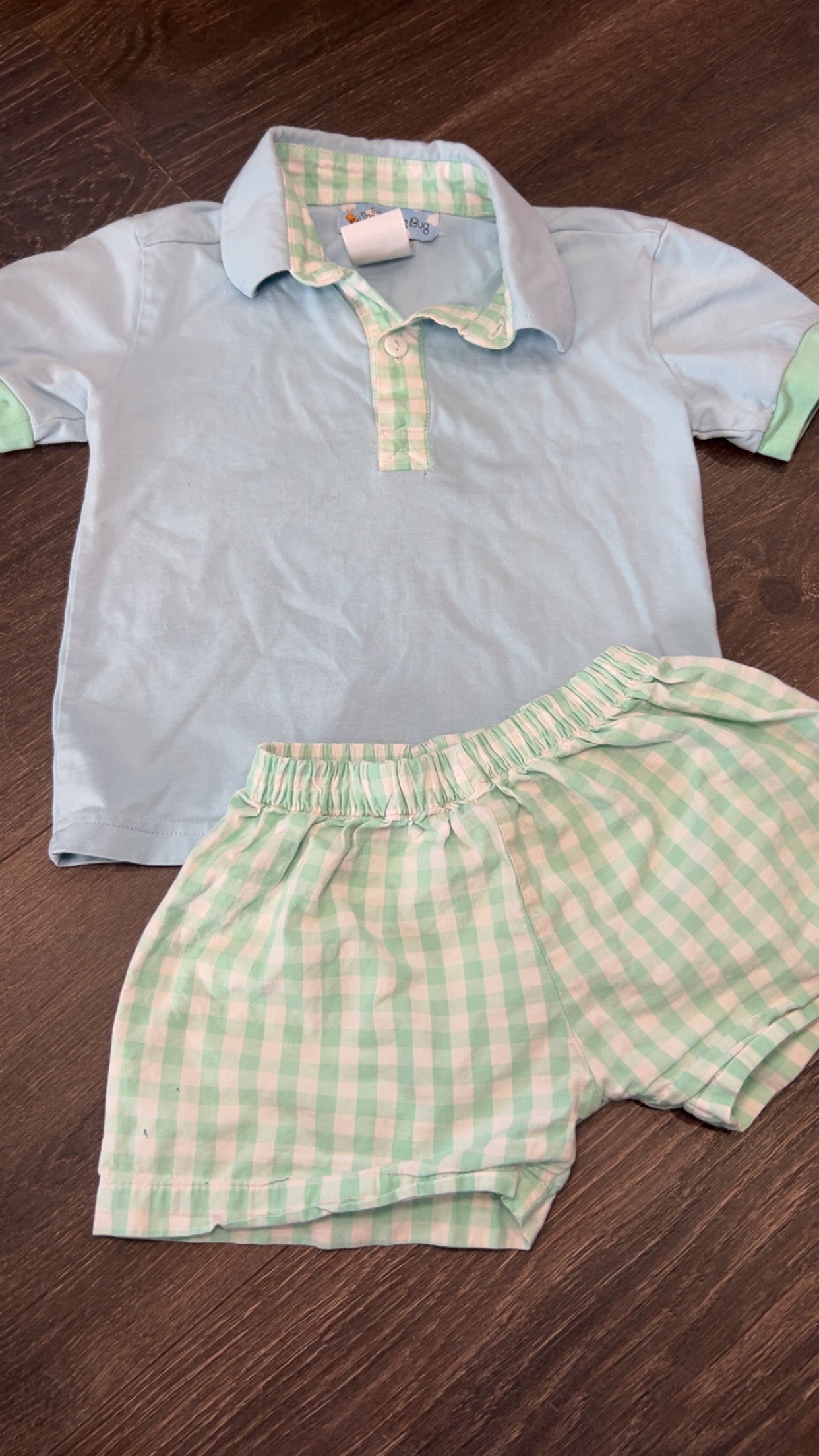 The Smocking Bug size 2.. small hole & faint staining