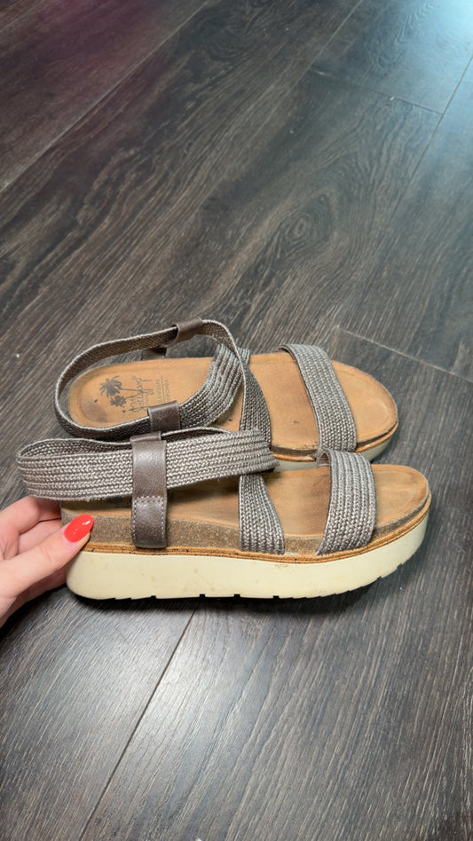 JellyPop size 8