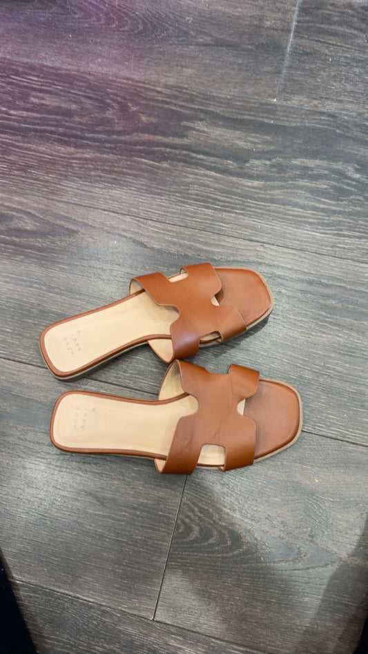 A New Day Size 6