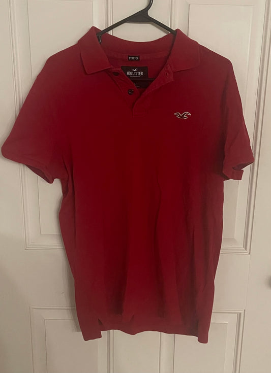 Hollister large