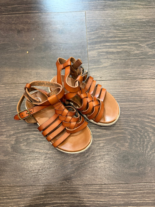 Wonder Nation size 6