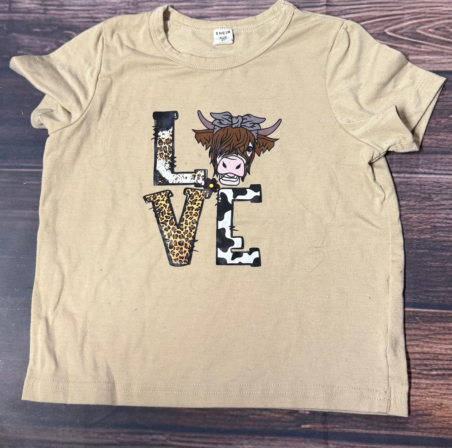 4Y