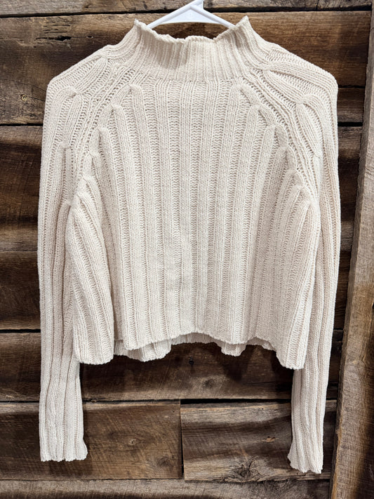 American Eagle xs