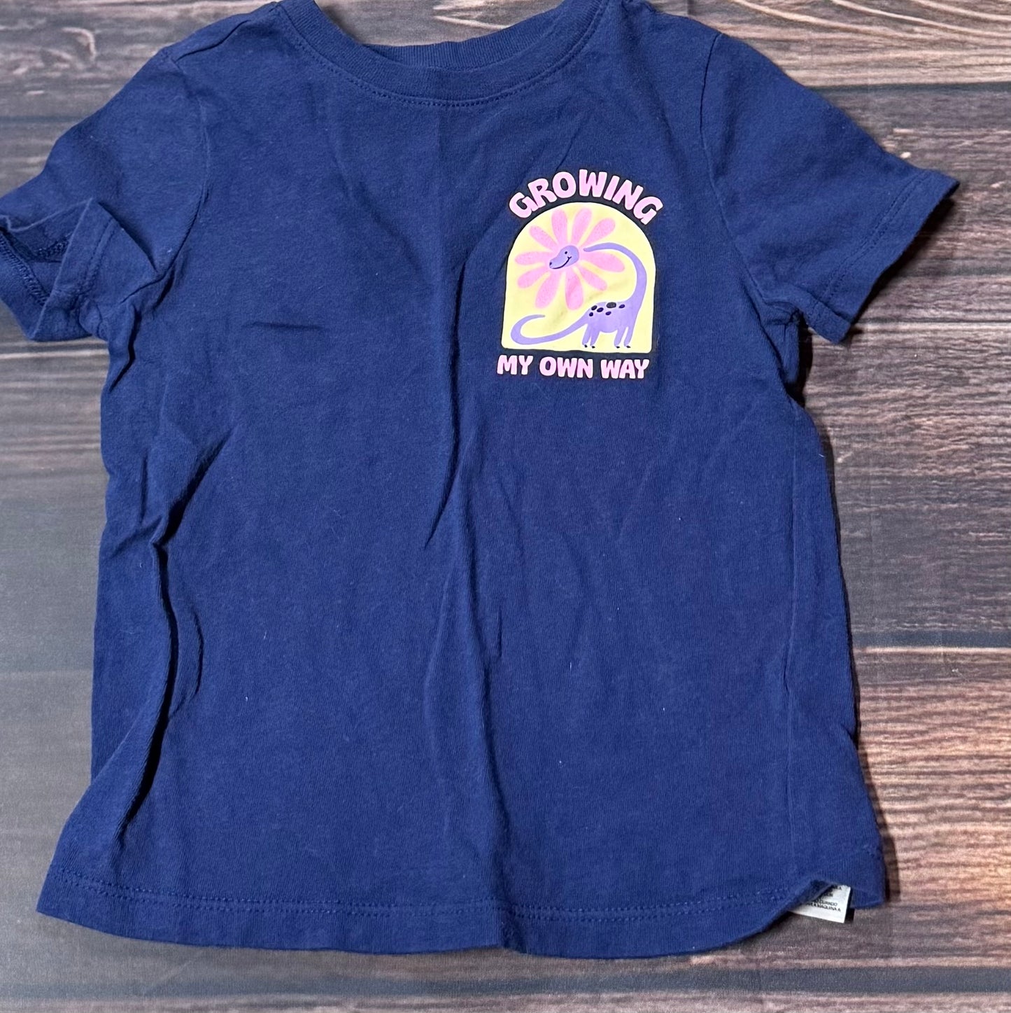 Old Navy 3T..has water spots
