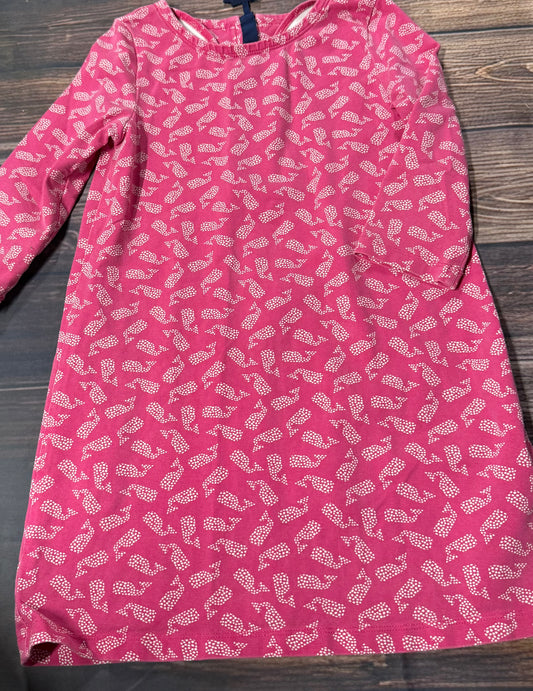 Vineyard Vines 5-6