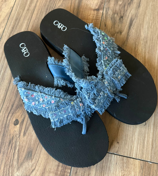 Cato 9