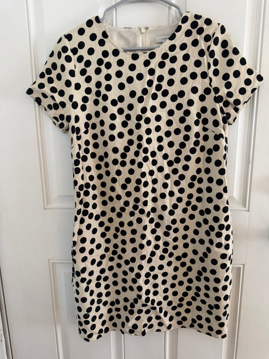 J. Crew size 10