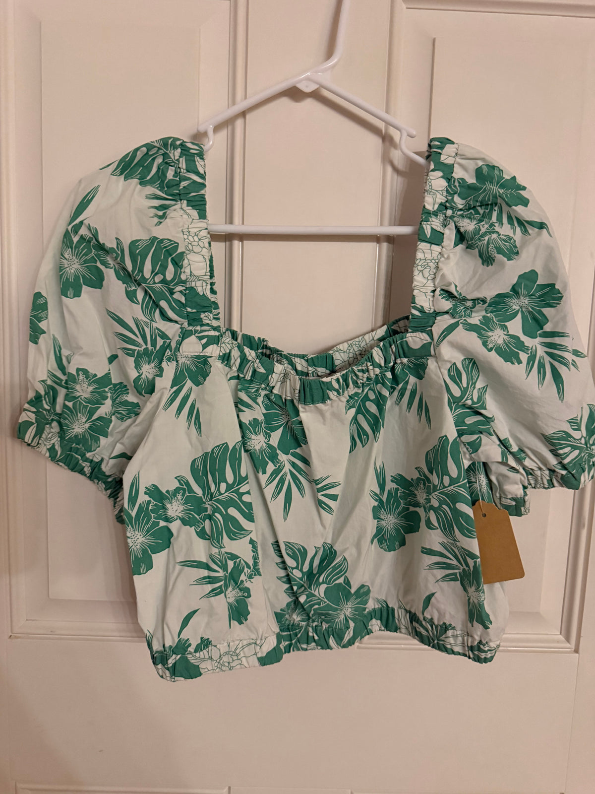 American Eagle medium