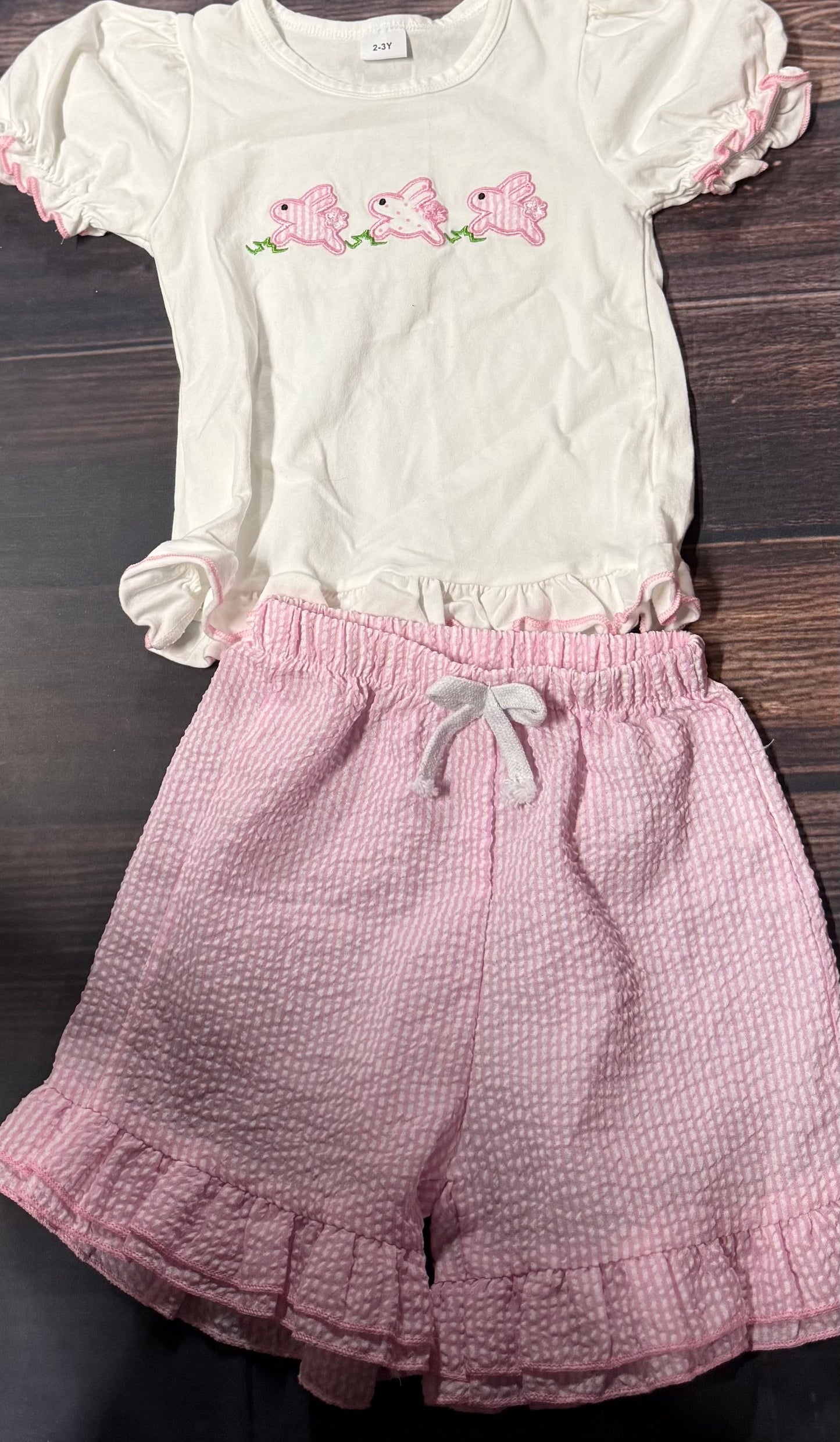 2-3Y