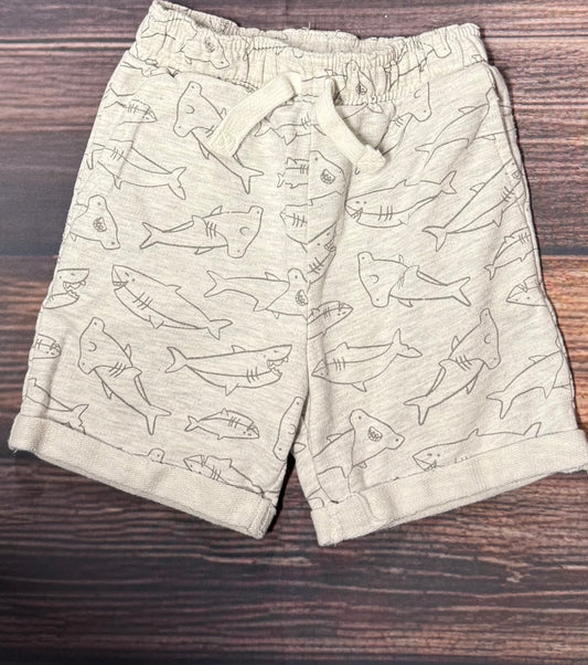 Dip 18-24m