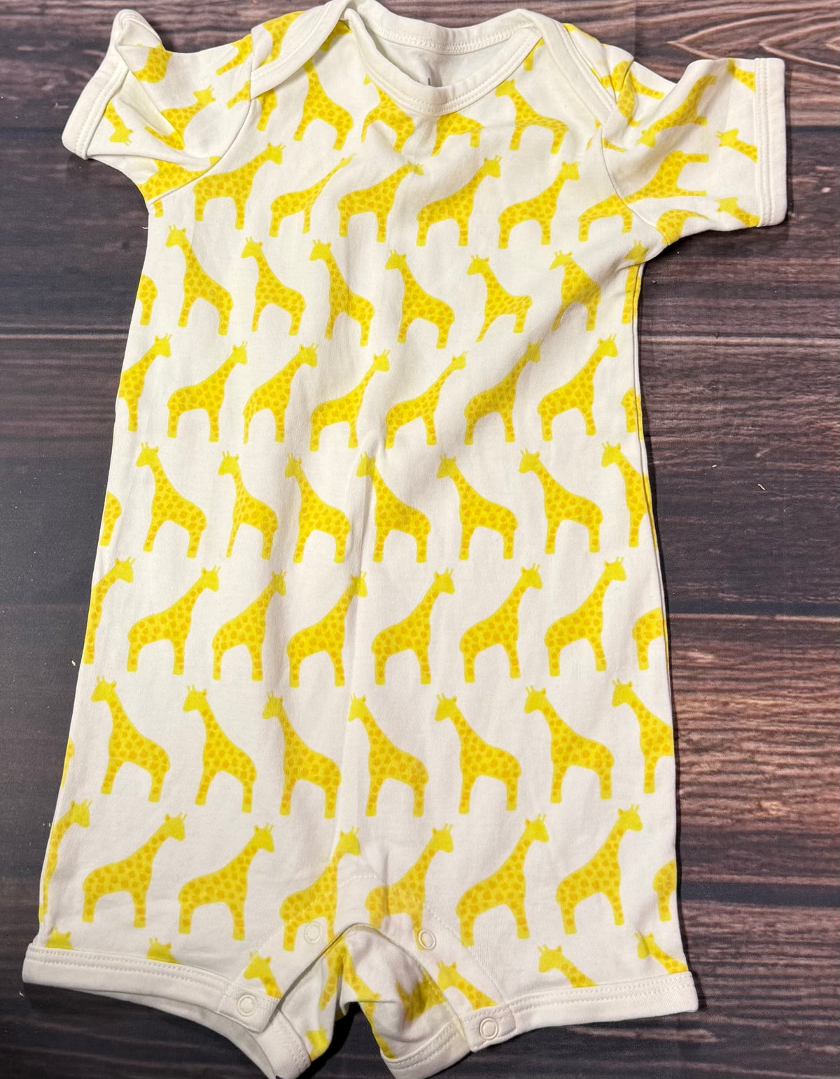 Primary 12-18m