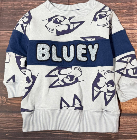 Bluey 12m