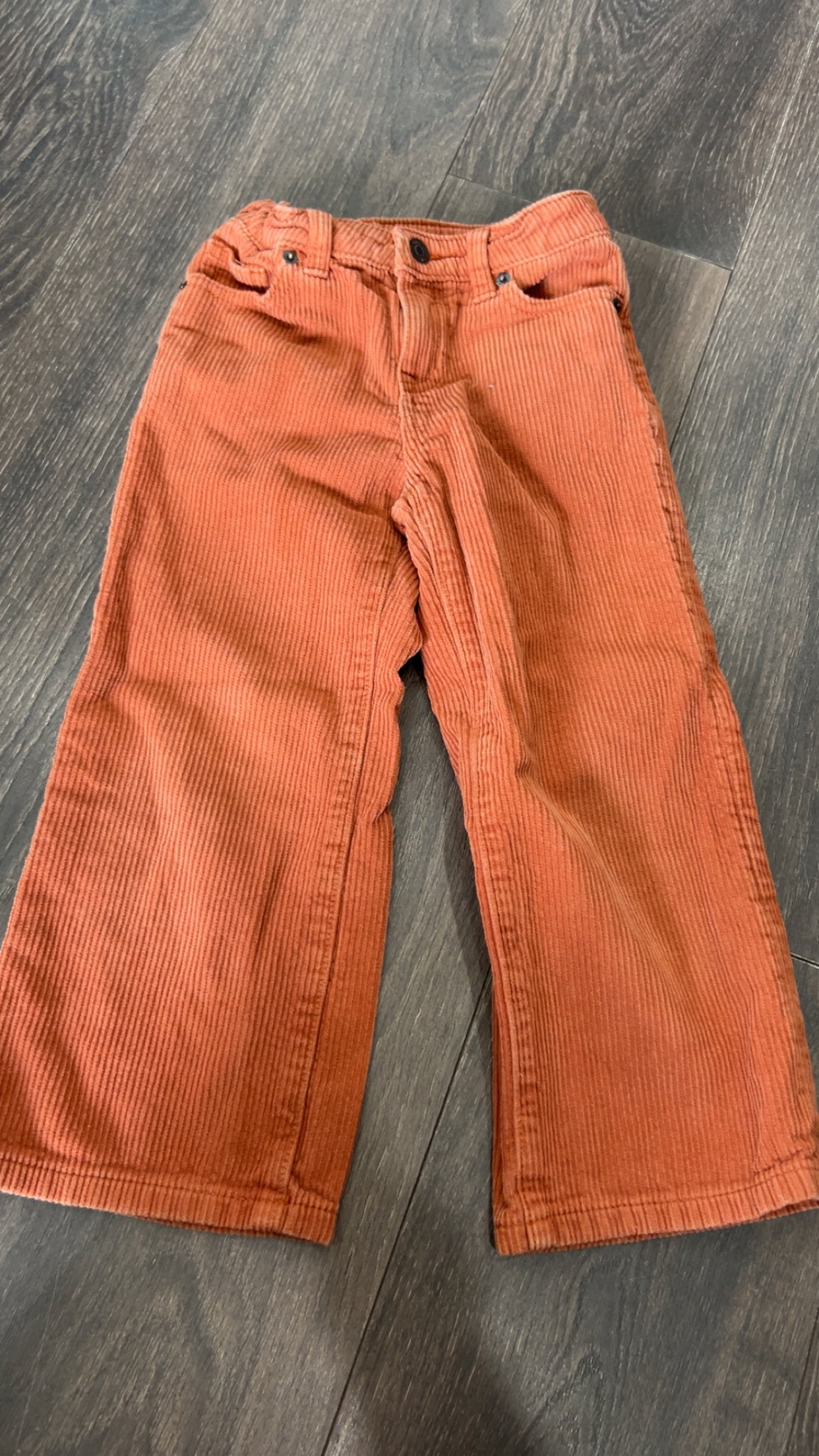 Cat & Jack size 5