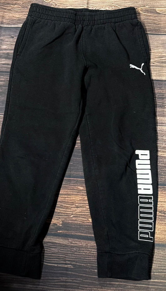 Puma 6
