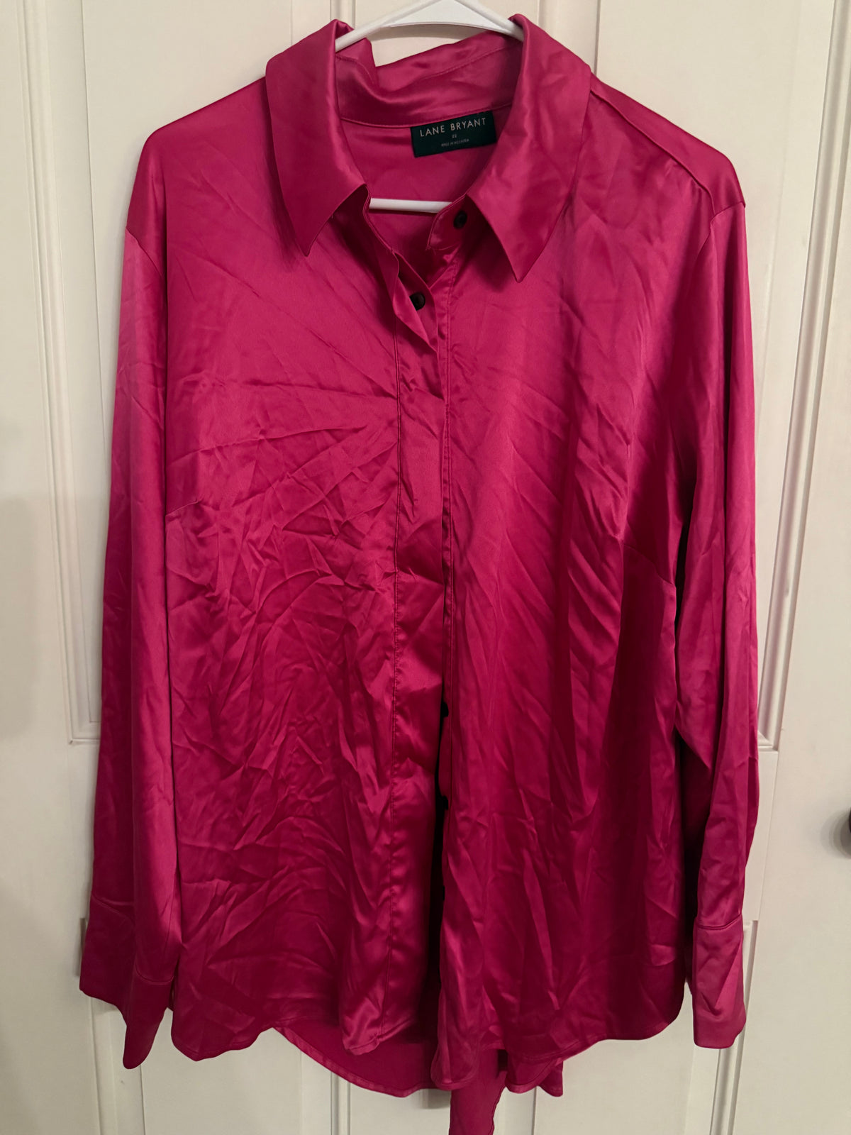 Lane Bryant 22