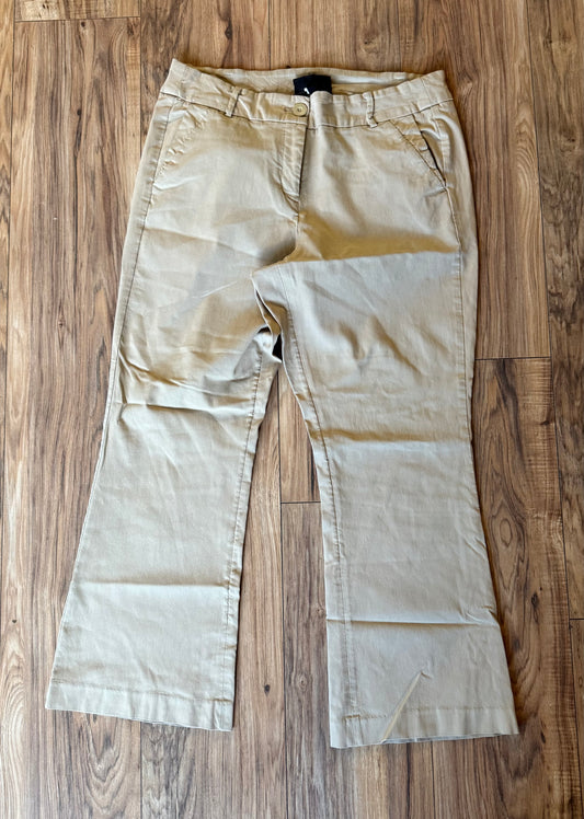 Lane Bryant 16 short