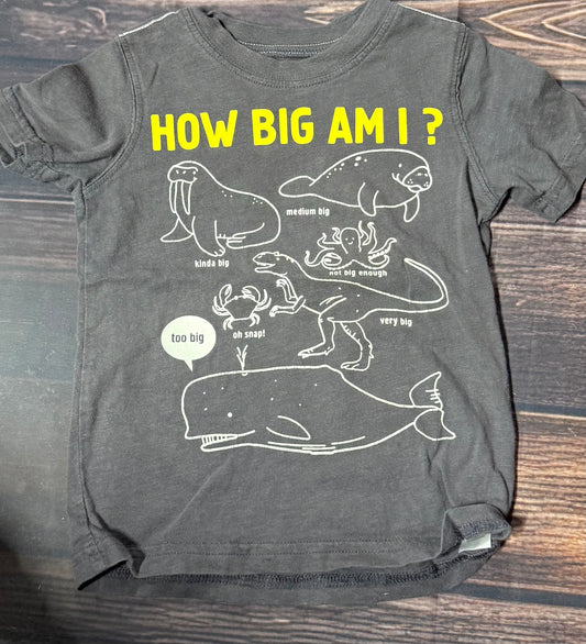 Carter’s 3T