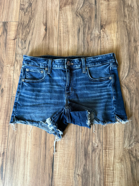 American Eagle 8