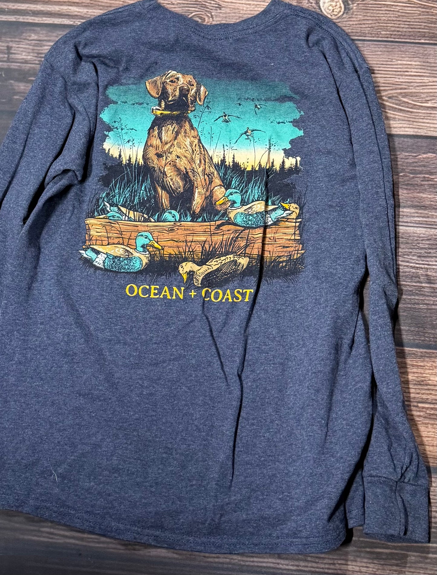 Ocean + Coast large..back in second pic