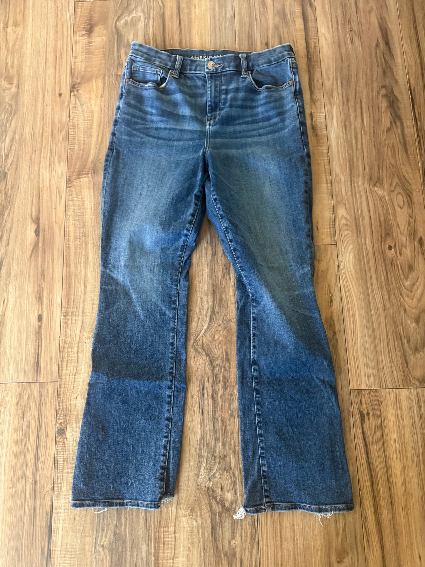 American Eagle 10 short