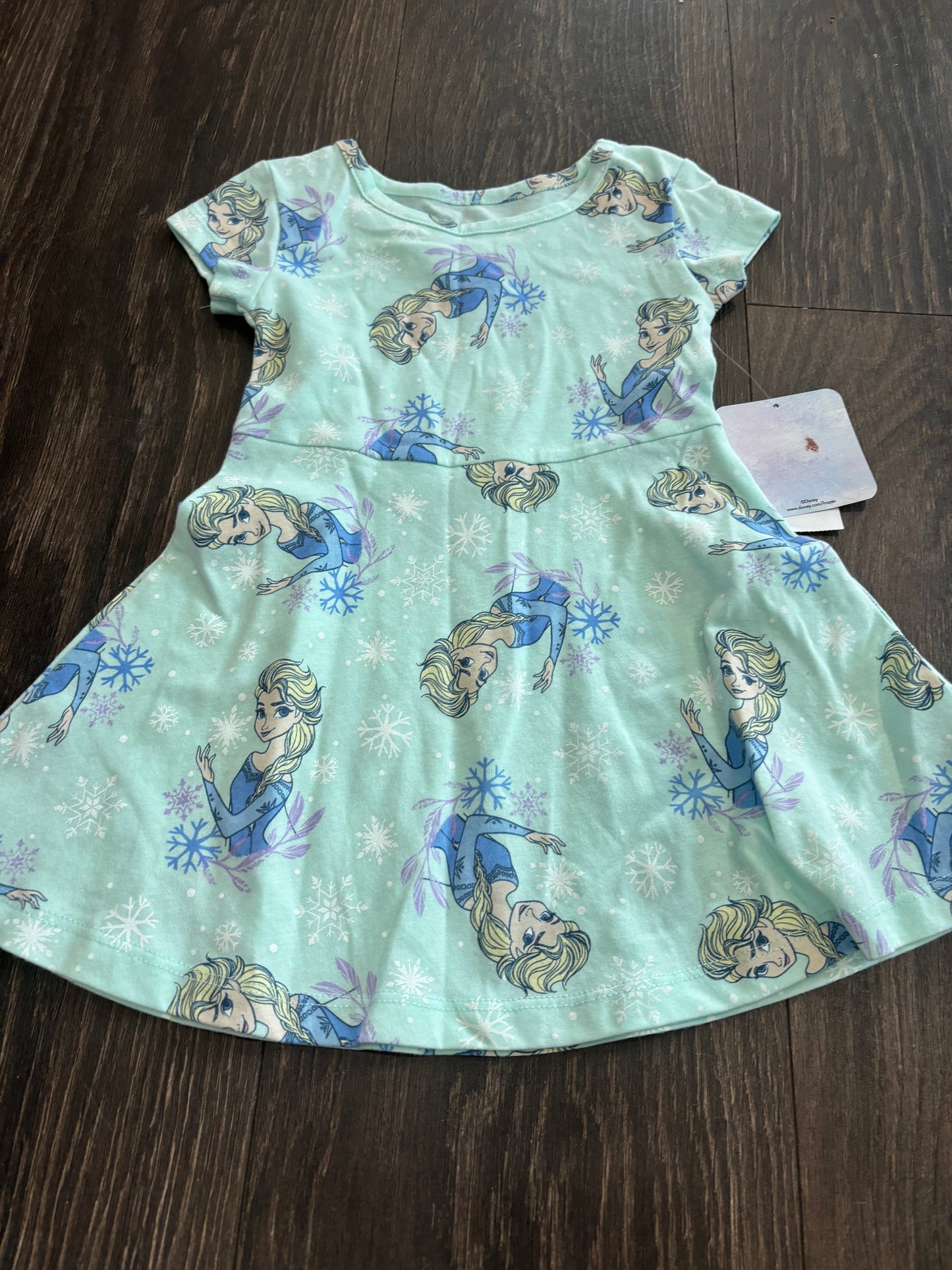 NWT frozen 18m