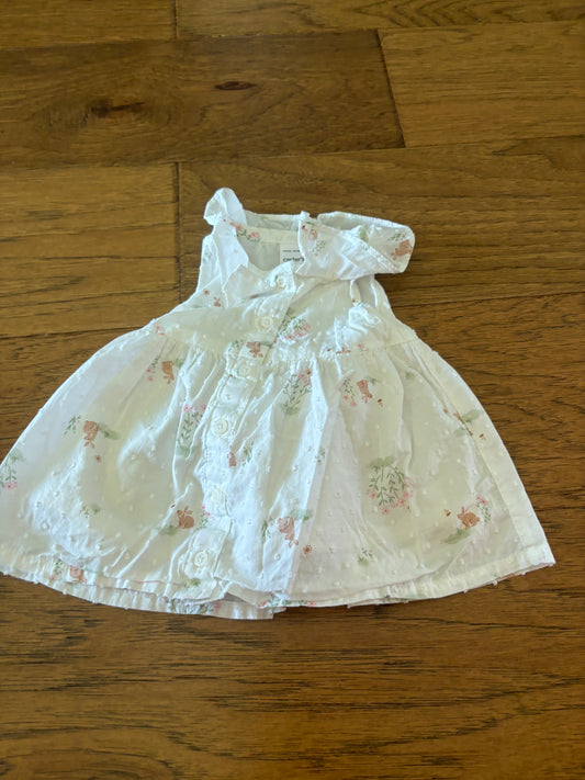 Carters newborn