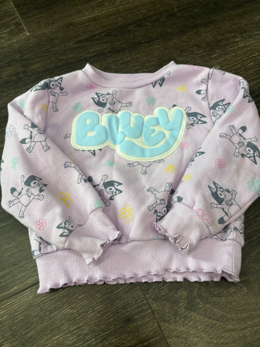 bluey 3T