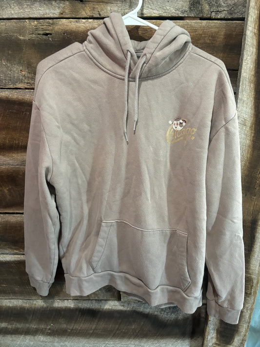 hollister large