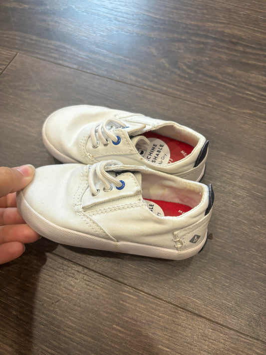 Sperry 6