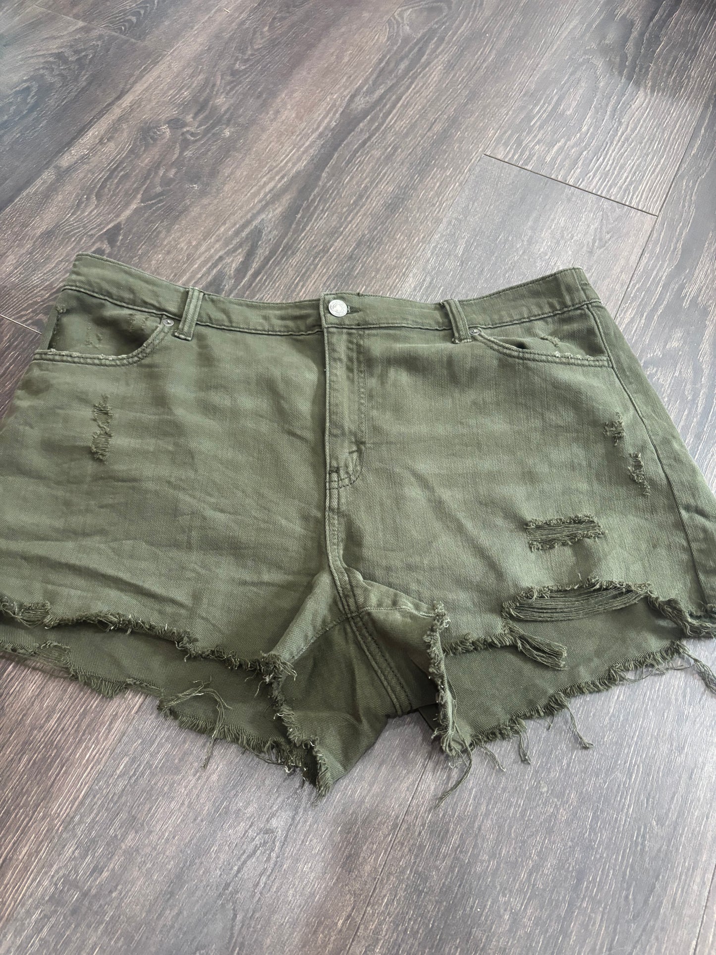 aerie xl