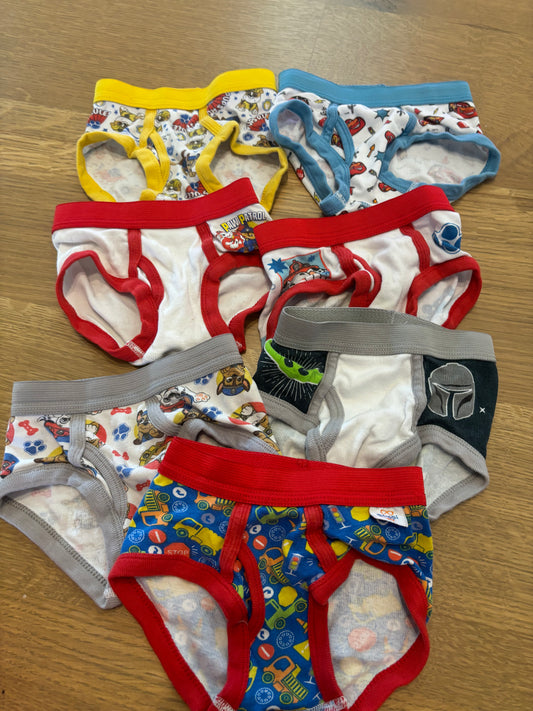 2-4T underwear